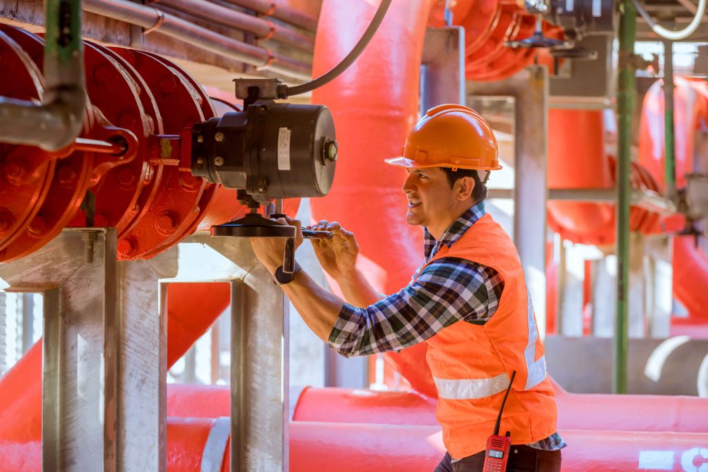 Inspección profesional transformamos su tranquilidad Proyectos PCI