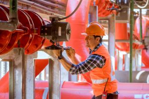 Inspección profesional transformamos su tranquilidad Proyectos PCI